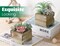 2 Pack Artificial Cactus & Succulent Small Potted Plants in Wooden Pots with Pink Flowers – Faux Desk Plants for Farmhouse Bathroom, Home, Office & Room Decor